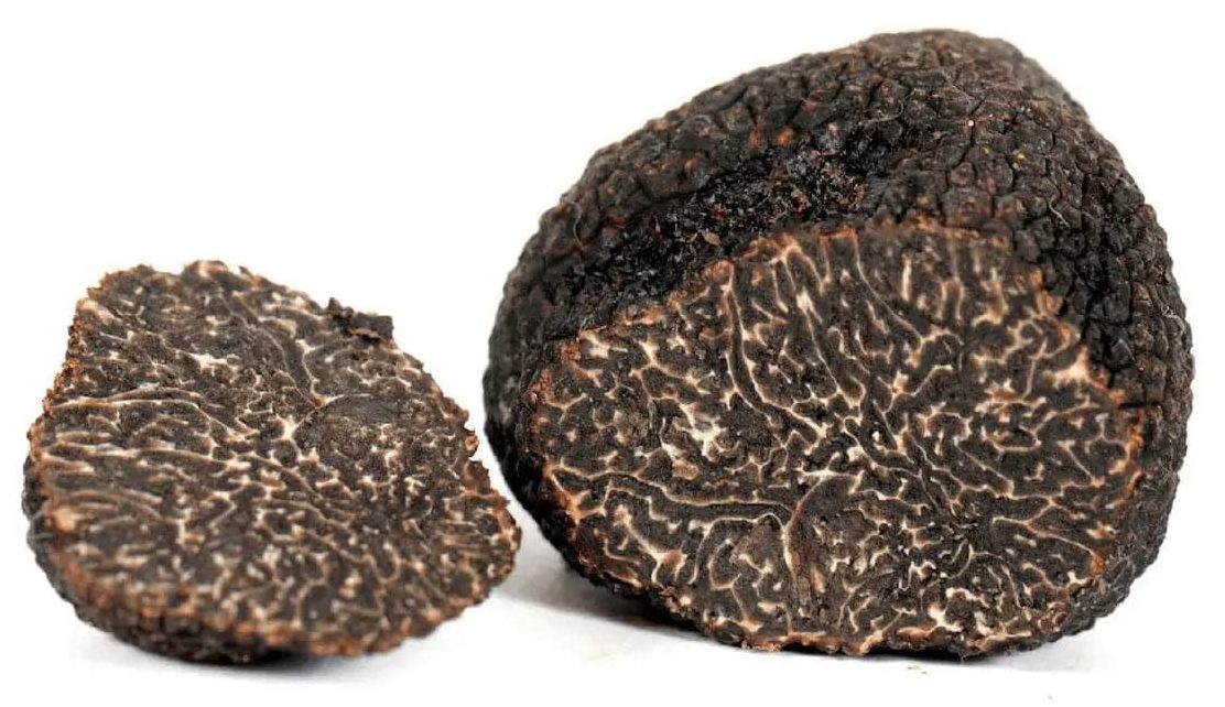 TARTUFO-NERO-PREGIATO-FRESCO--_Tuber-melanosporum-Vittad._---prima-scelta-TifataTartufi-1667908834_1200x