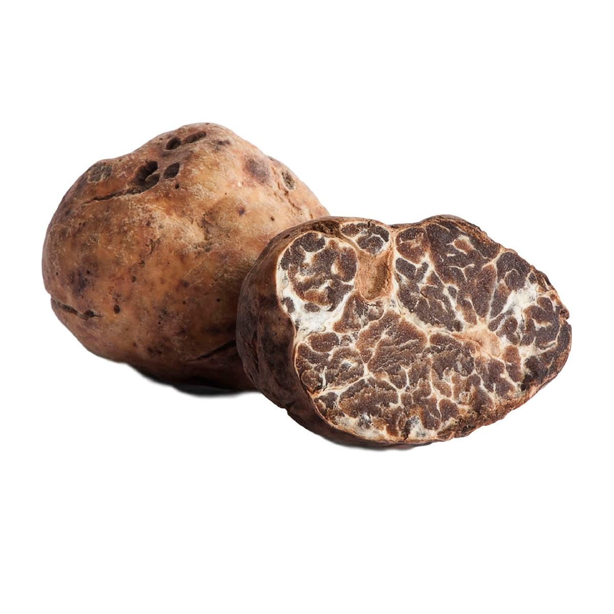 Tuber albidum Pico o Tuber borchii Vittad